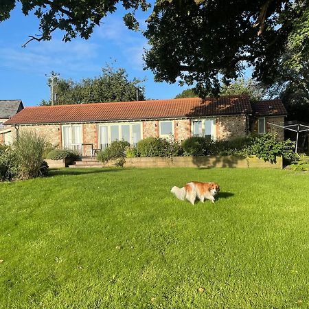 The Cosy Cowshed Villa Axminster Eksteriør billede