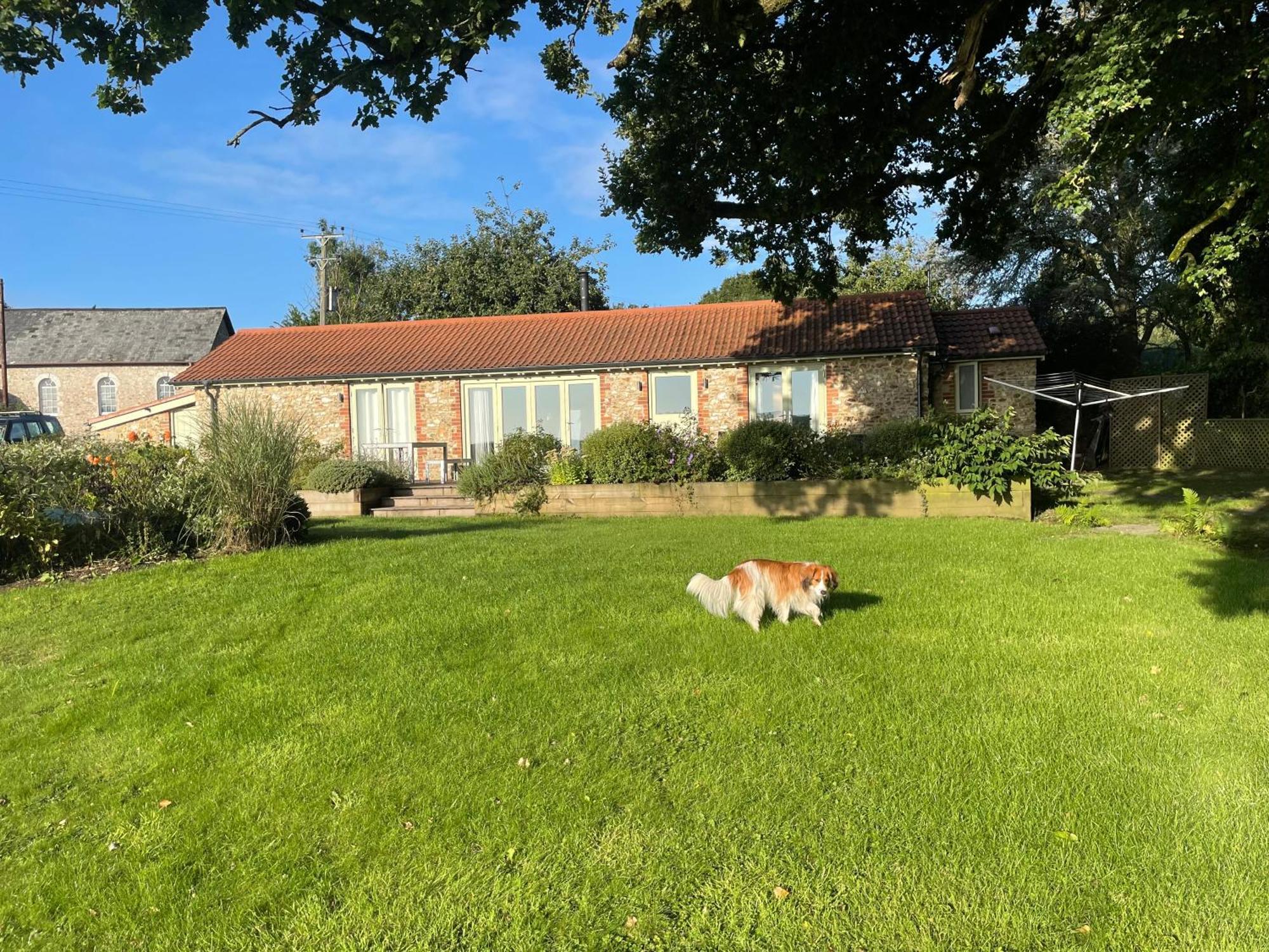 The Cosy Cowshed Villa Axminster Eksteriør billede